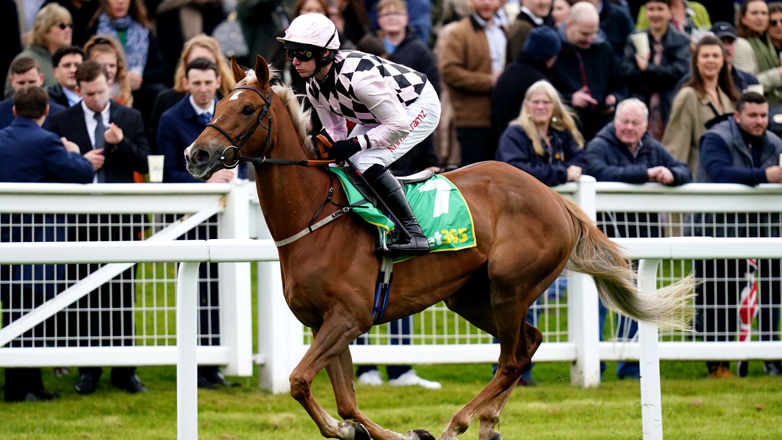 Astăzi pe Sky Sports Racing favorit la Arkle, Sir Gino, la Super Saturday de la Newbury.