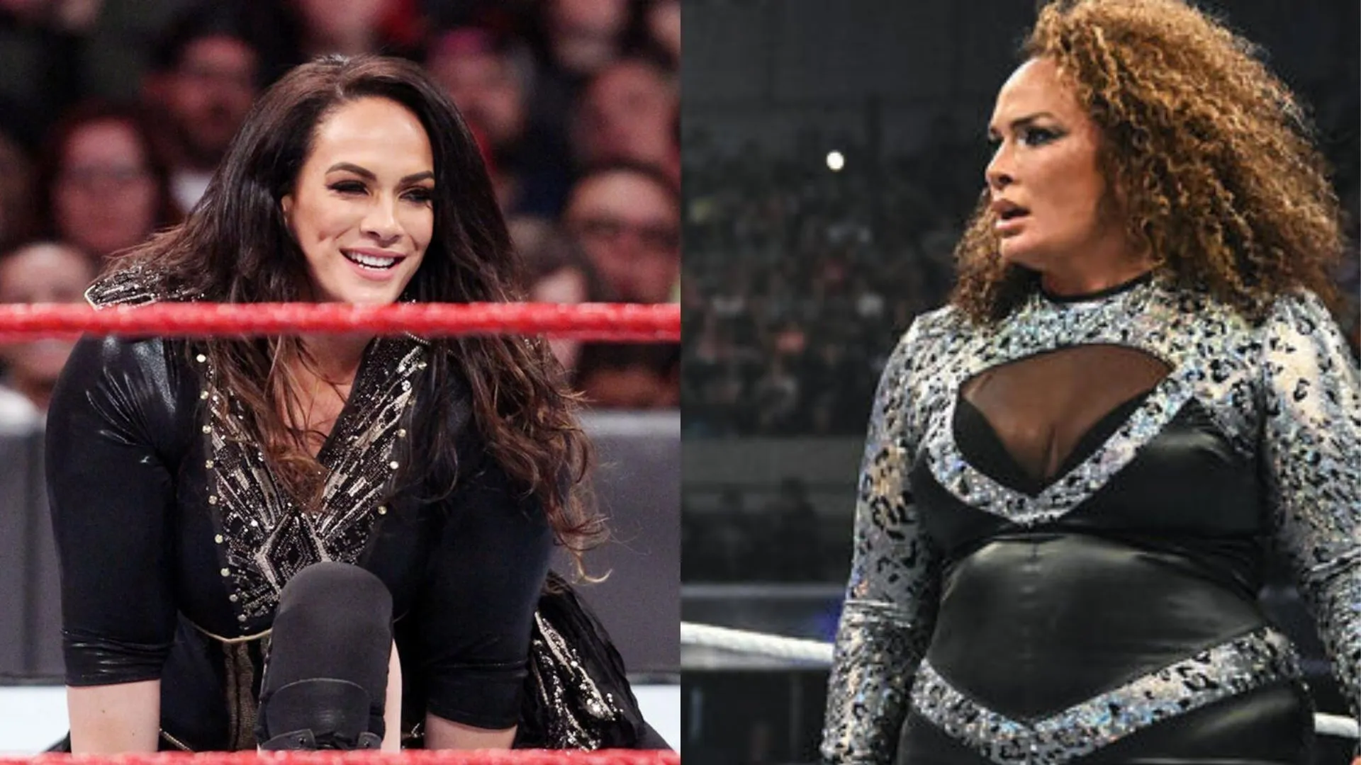 Fostul wrestler de 77 de ani vrea ca Nia Jax să-l sufocă.